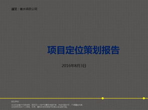 衡水住宅項目定位及營銷策劃方案解析